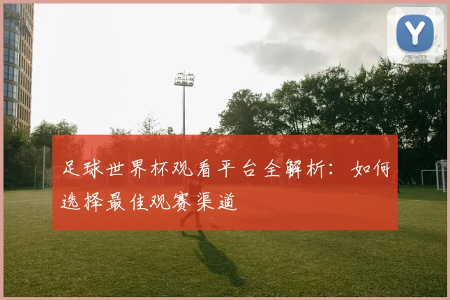 足球世界杯观看平台全解析：如何选择最佳观赛渠道
